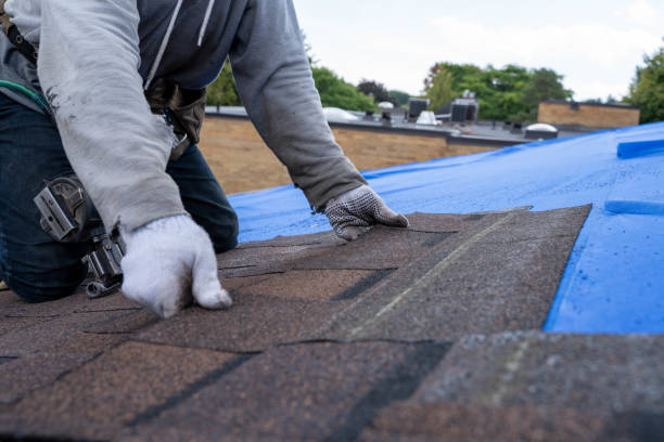 Best Roof Ventilation Installation  in Sisseton, SD