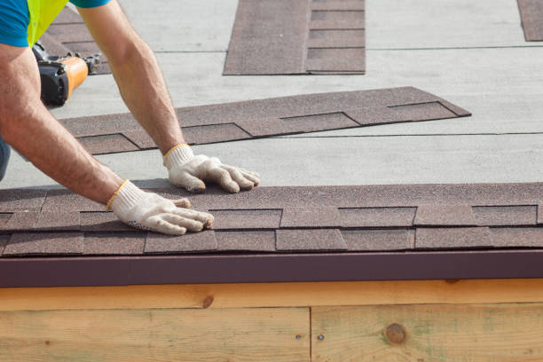 Best Metal Roofing Installation  in Sisseton, SD
